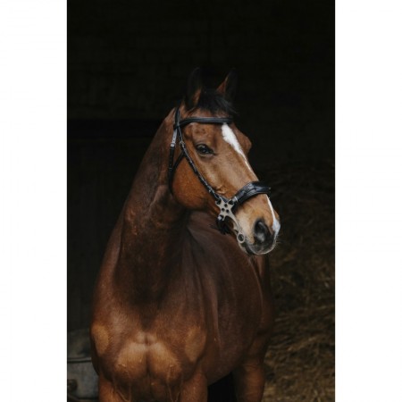 Cabezada de montar "HACKAMORE" de...