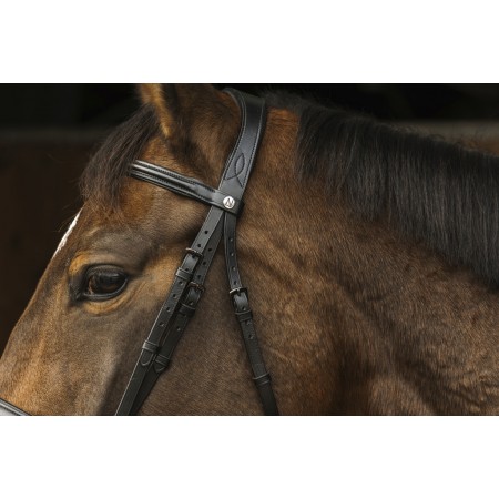 Cabezada de Montar "DARK" de NORTON PRO