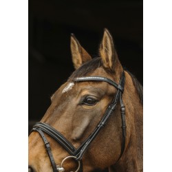Cabezada de Montar "GALON" de NORTON PRO 2