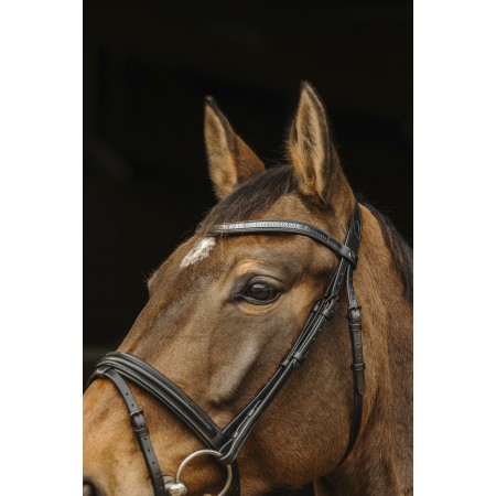 Cabezada de Montar "GALON" de NORTON PRO