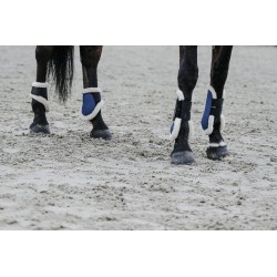 Protectores de menudillo "BOA" de EQUITHÈME