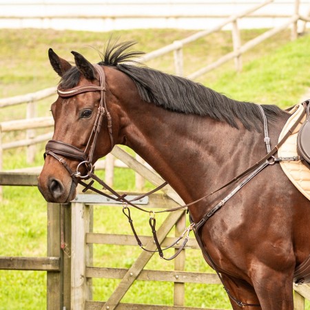 Pechopetral "ROSEGOLD" de HARRY'S HORSE