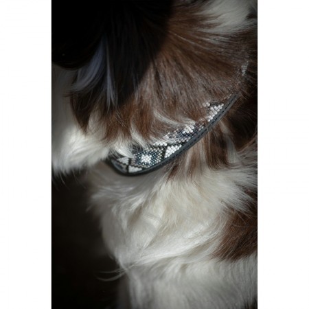 Collar para Perro "PEARL" de PENÉLOPE LEPREVOST