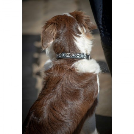 Collar para Perro "PEARL" de PENÉLOPE LEPREVOST