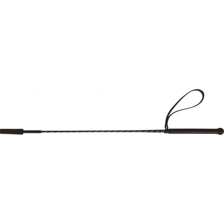 Fusta de fibra de vidrio de WHIP & GO