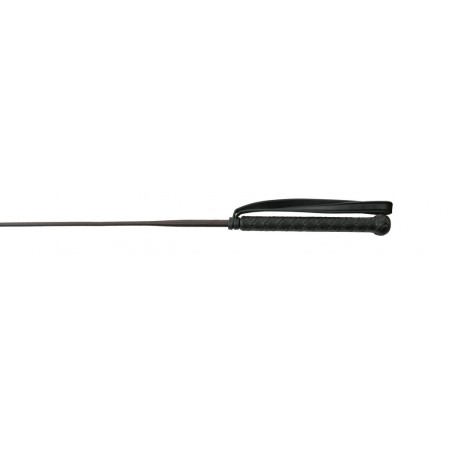 Fusta de fibra de vidrio de WHIP & GO