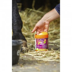 Gel de tendones refrigerante de EQUINATURA 2