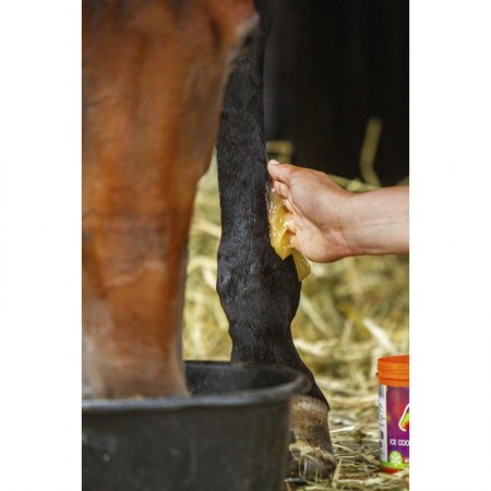Gel de tendones refrigerante de EQUINATURA