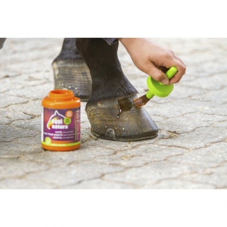 Aceite para cascos con pincel Equinatura
