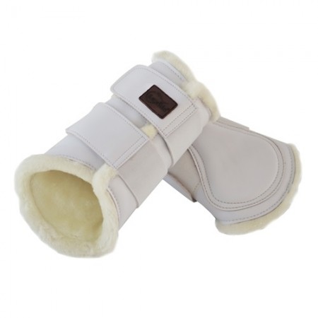 Protector de doma delantero Lexhis