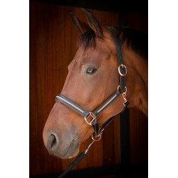 Cabezada de montar Halter Cuero Metálico de Harry's Horse 2
