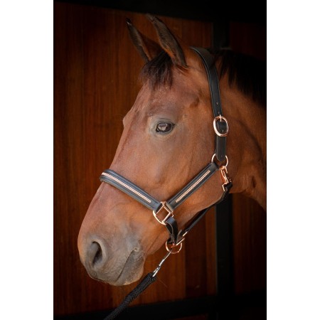 Cabezada de montar Halter Cuero Metálico de Harry's Horse