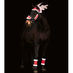 Set de navidad para caballo...