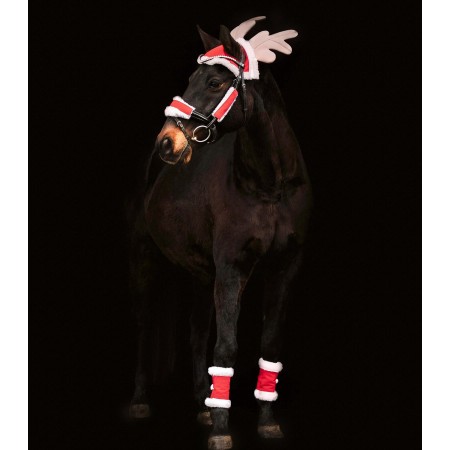 Set de navidad para caballo de...