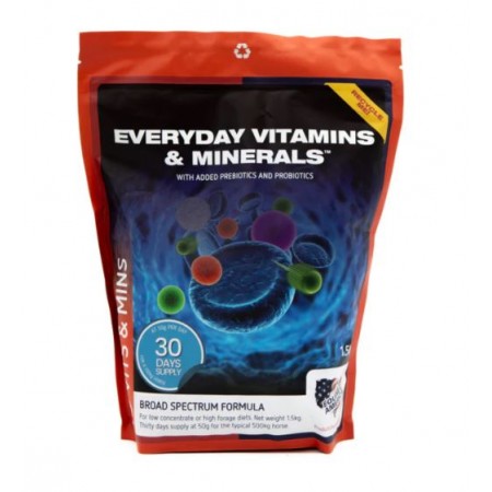 EVERYDAY VITAMIN & MINERAL