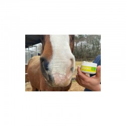Crema Protectra solar "SOLAREN" de ANIMADERM 2