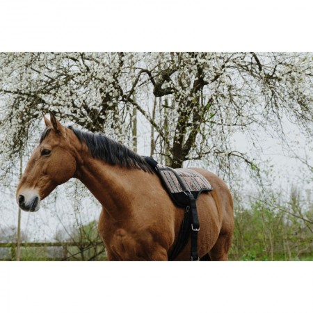 Bareback "KIOWA" de NORTON