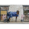 Bajomanta "CLASSIC" de EQUITHÈME