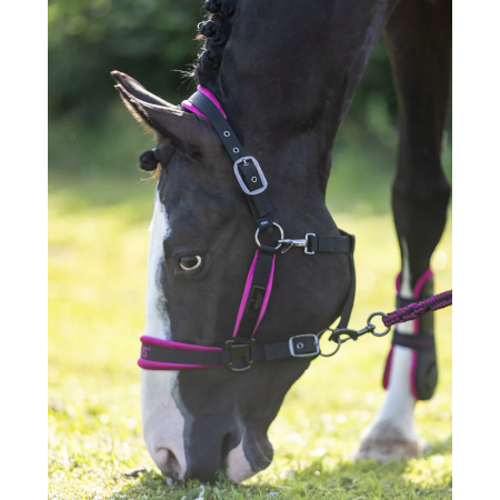 Cabezada de Cuadra con Ramal "FUCHSIA STAR" de MRS ROS