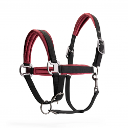 Cabezada de Cuadra con Ramal "FUCHSIA STAR" de MRS ROS 2