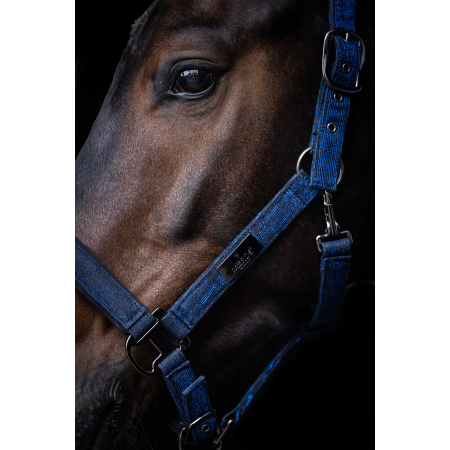 Cabezada de Cuadra con Ramal "FESTIVE" de MRS ROS