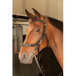 Brida de cuero para montar "Cavesson Anatomic" de HARRY'S HORSE 2