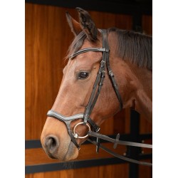Cabezada de montar "ANATOMIC" de HARRY'S HORSE 2
