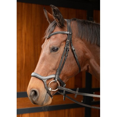 Cabezada de montar "ANATOMIC" de HARRY'S HORSE