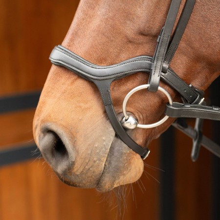 Cabezada de montar "ANATOMIC" de HARRY'S HORSE
