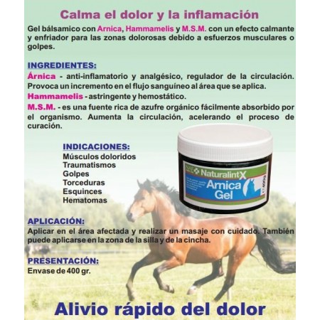 Gel balsámico para caballo Arnica Gel (400 g)