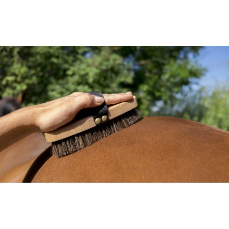 Cepillo "EXTRA-SUAVE" de HIPPOTONIC