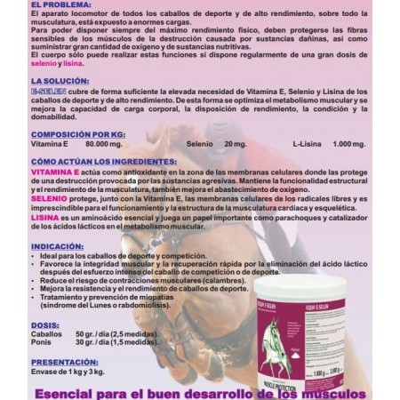 Equi 2000 E-Selen, para optimizar el metabolismo muscular del caballo