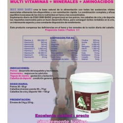 Equi 2000 Basic, desarrollo del esqueleto del potro 2