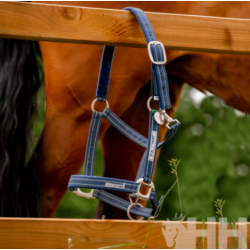 Cabezada de cuadra "NYLON FIELD SAFE" de HORSEWARE 2