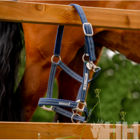 Cabezada de cuadra "NYLON FIELD SAFE" de HORSEWARE