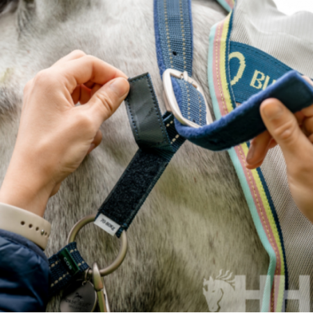 Cabezada de cuadra "NYLON FIELD SAFE" de HORSEWARE