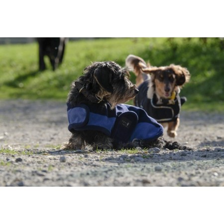 Manta para perro "CONFORTEC POLAR" de EQUITHÈME