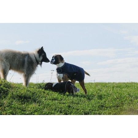Manta para perros "TYREX 600D" con acolchado 200g de EQUITHÈME