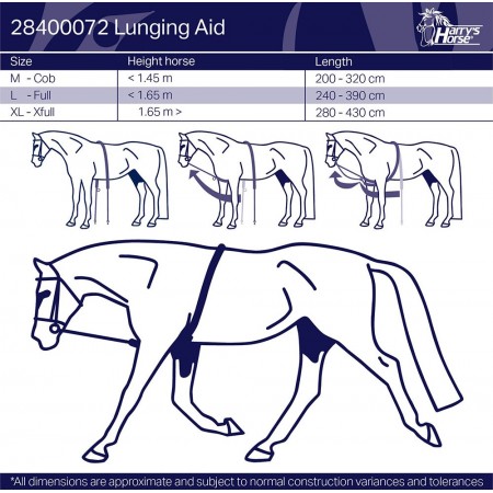 Sistema de trabajo a la cuerda de HARRY'S HORSE
