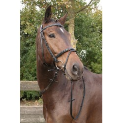 Cabezada de Montar "BRONZE" de HARRY'S HORSE 2