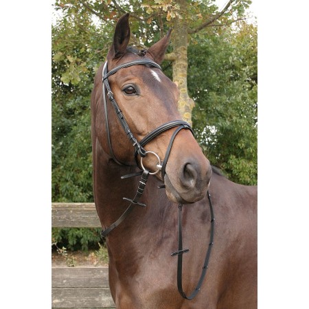 Cabezada de Montar "BRONZE" de HARRY'S HORSE