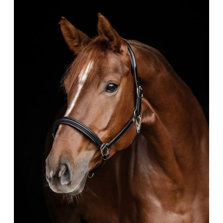 Cabezada de cuadra "S-LINE CLASSY" de WALDHAUSEN