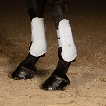 Conjunto de Protectores Delanteros + Traseros “NEXT” de HARRY’S HORSE