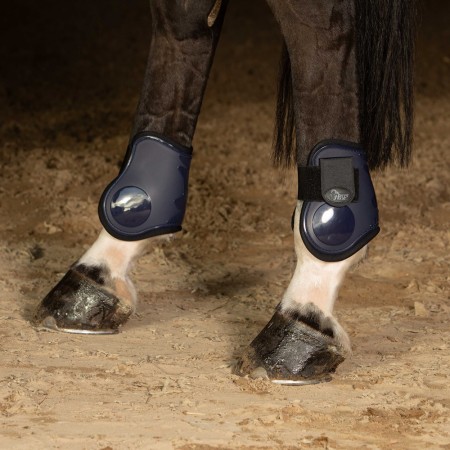 Conjunto de Protectores Delanteros + Traseros “NEXT” de HARRY’S HORSE