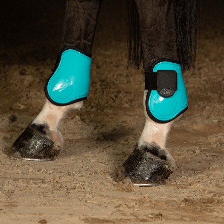 Conjunto de Protectores Delanteros + Traseros “NEXT” de HARRY’S HORSE