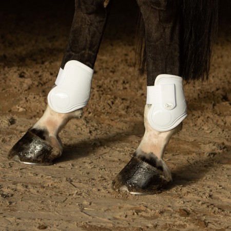 Conjunto de Protectores Delanteros + Traseros “NEXT” de HARRY’S HORSE