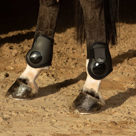 Conjunto de Protectores Delanteros + Traseros “NEXT” de HARRY’S HORSE
