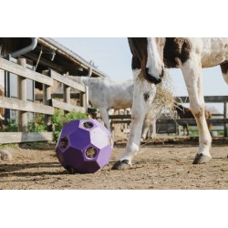 Pelota para heno de HIPPOTONIC 2
