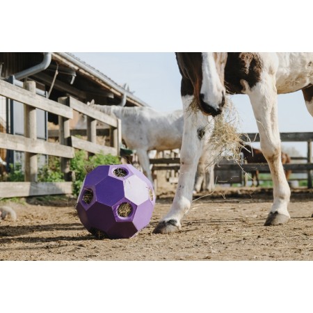 Pelota para heno de HIPPOTONIC