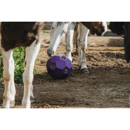 Pelota para heno de HIPPOTONIC